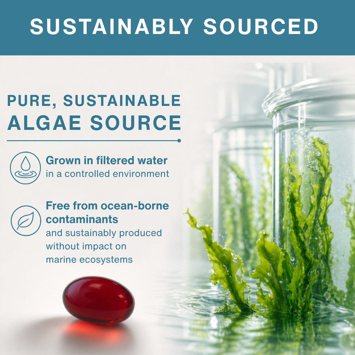 Vegan Omega-3 Algae Oil, 400mg DHA & 200mg EPA & Astaxanthin, 60-180 Softgels