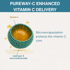 Super Vitamin C Complex, 1000mg Microencapsulated Pureway-C® with Bioflavonoids, 60 Tablets