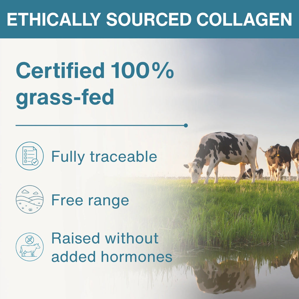 Advanced Hydrolysed Collagen Peptides – 100% Grass-fed Bovine Collagen Protein Powder, 40 Servings
