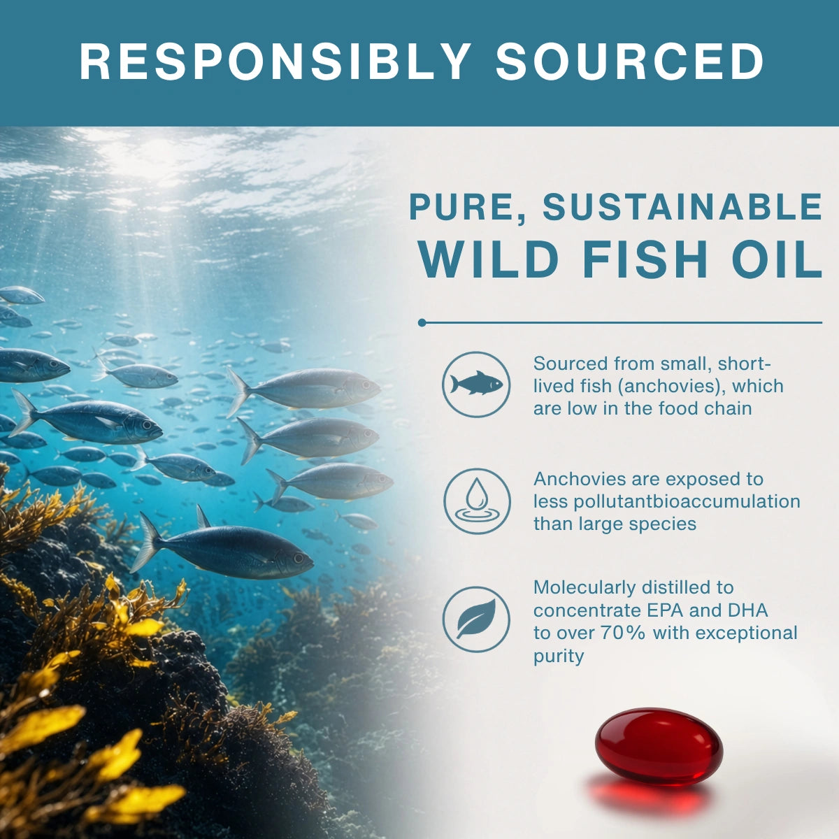 High absorption Omega-3 Wild Fish Oil, 1000mg EPA & DHA rTG Triglyceride and Astaxanthin, 180 Softgels