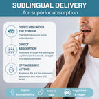 Super B12-Complex 1000mcg, Sublingual Vitamin B12 Melt, High Absorption Methylcobalamin, Adenosylcobalamin & Hydroxocobalamin, 180 Tablets