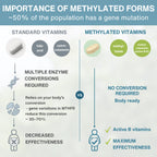 Methylated Multivitamin & Minerals for Men Enhanced with Lycopene, Vitamin D, B6 & B12, Slow Release, 60-180 Tablets