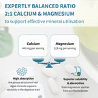 Calcium & Magnesium, High Absorption Algae Mineral Complex, Vitamin D3, K2 & Boron, Vegan, 60 Tablets