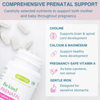 Methylated Pregnancy Multivitamin, with Folic Acid as Methyl-Folate, Choline, Calcium, Gentle Iron, 60 Tablets