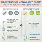 Methylated Multivitamin & Minerals for Women 50+, with Folate, Calcium, Magnesium & Antioxidants, 60 Tablets