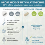 Methylated Multivitamin & Minerals for Women 50+, with Folate, Calcium, Magnesium & Antioxidants, 60 Tablets