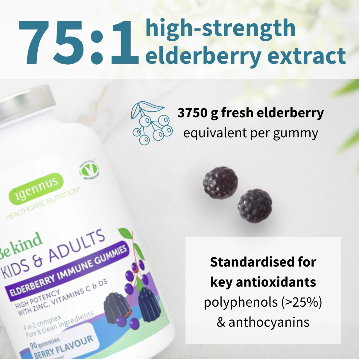 Elderberry Immune Gummies, 4-in-1 Complex with Vitamins C, D3 & Zinc, for Children Aged 4+, 90 Gummies