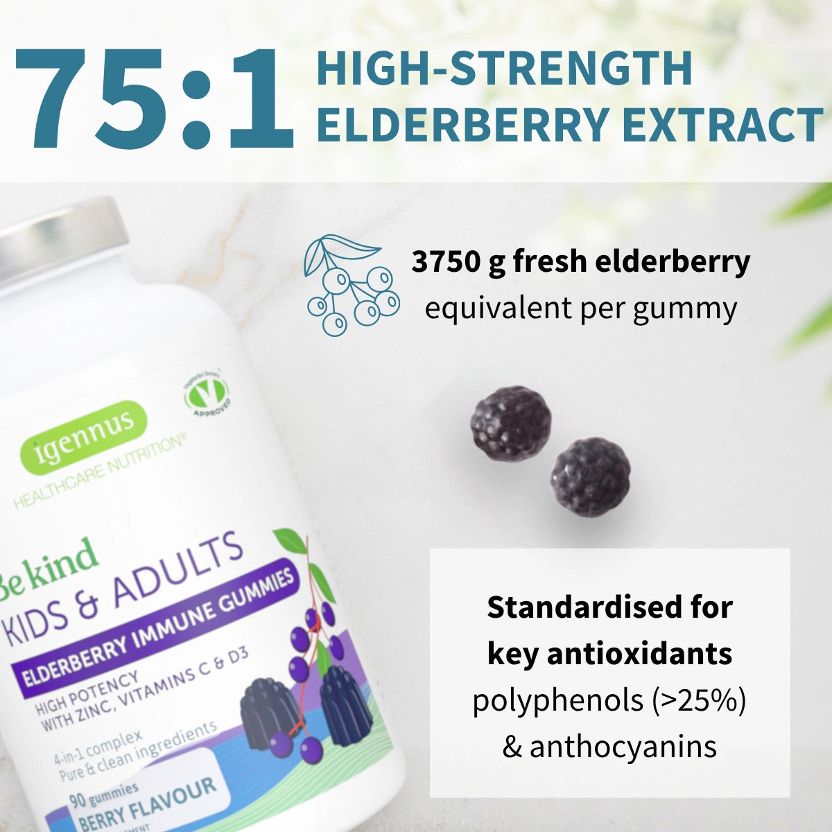 Elderberry Immune Gummies, 4-in-1 Complex with Vitamins C, D3 & Zinc, for Children Aged 4+, 90 Gummies