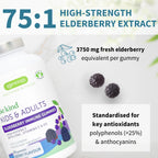 Elderberry Immune Gummies, 4-in-1 Complex with Vitamins C, D3 & Zinc, for Children Aged 4+, 90 Gummies