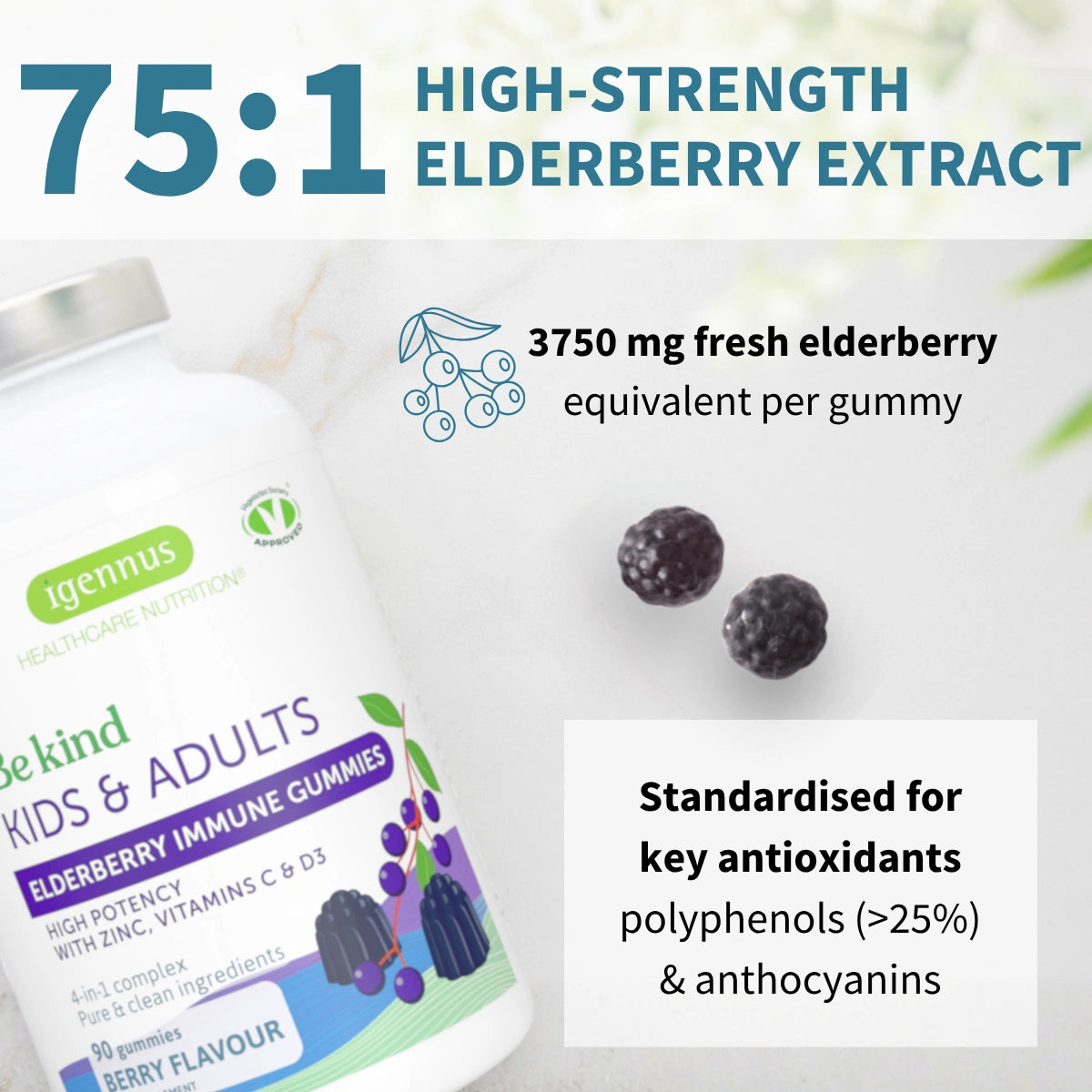 Elderberry Immune Gummies, 4-in-1 Complex with Vitamins C, D3 & Zinc, for Children Aged 4+, 90 Gummies