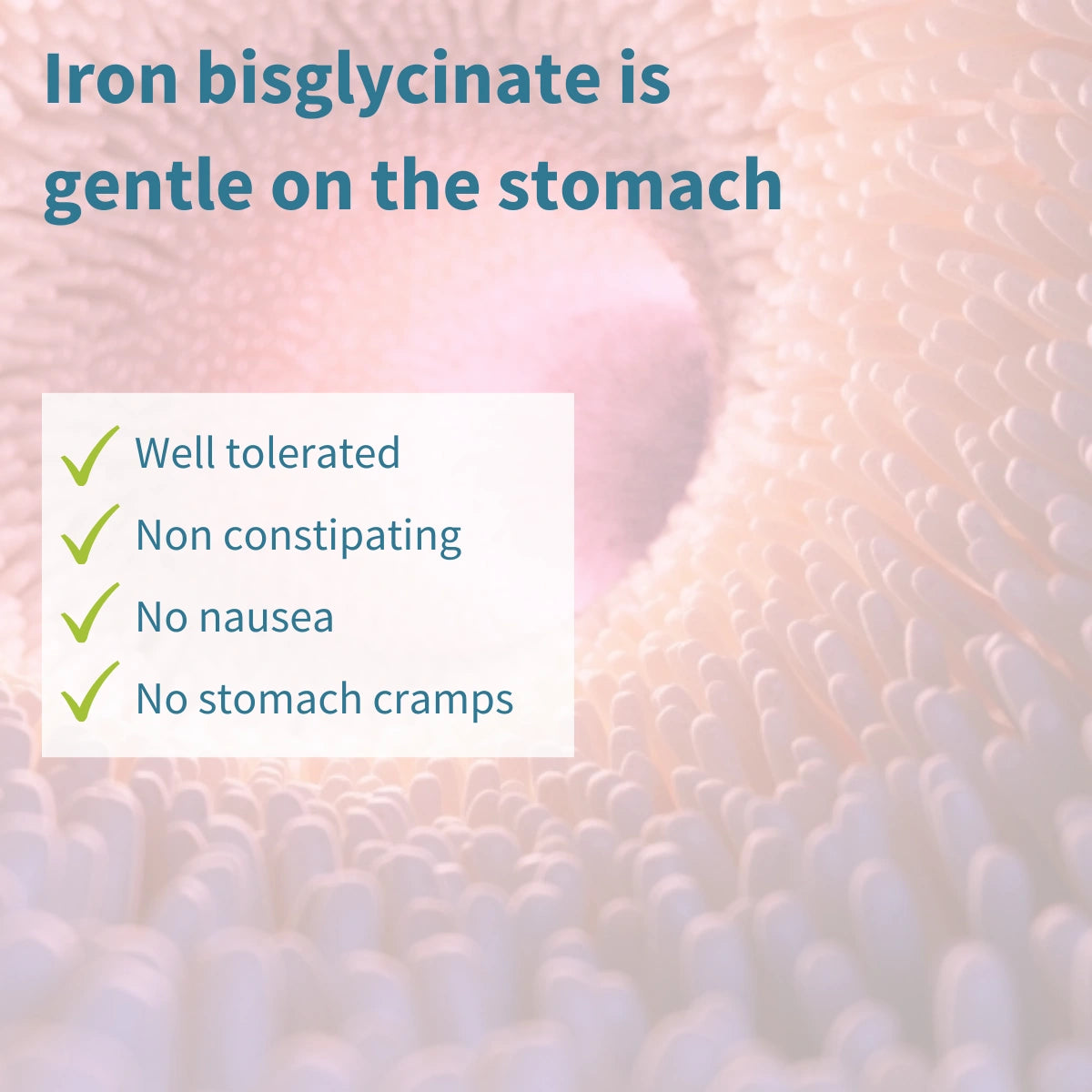 Iron bisglicinate gentle in stomach
