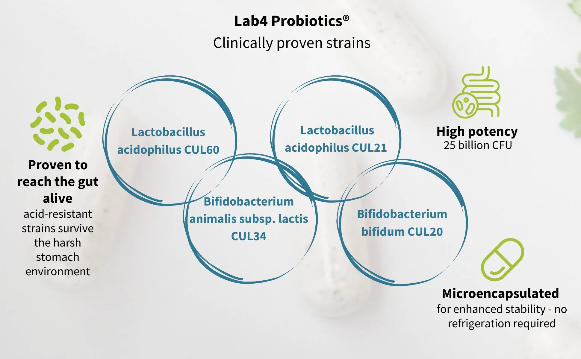 Lab4 Probiotics graphic with clinically proven strains and features on a light background