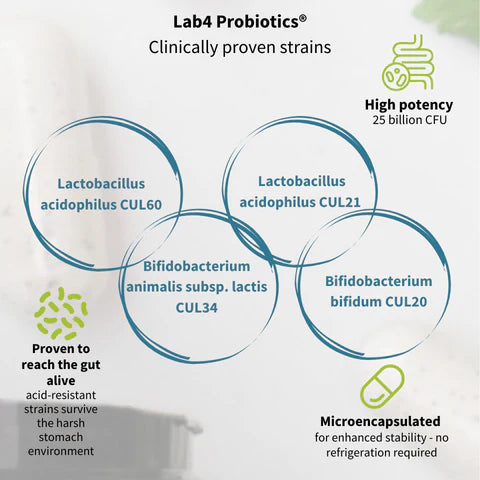 Lab4 Probiotics product description with probiotic strains and benefits.
