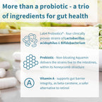 Product packaging with text about probiotics and gut health, featuring images of probiotic strains and honeycomb structure.