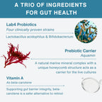 An infographic titled 'A TRIO OF INGREDIENTS FOR GUT HEALTH' with three product components: Lab4 Probiotics, Prebiotic Carrier Aquamin, and Vitamin A, each with descriptive text and small illustrative graphics on a light gray background.