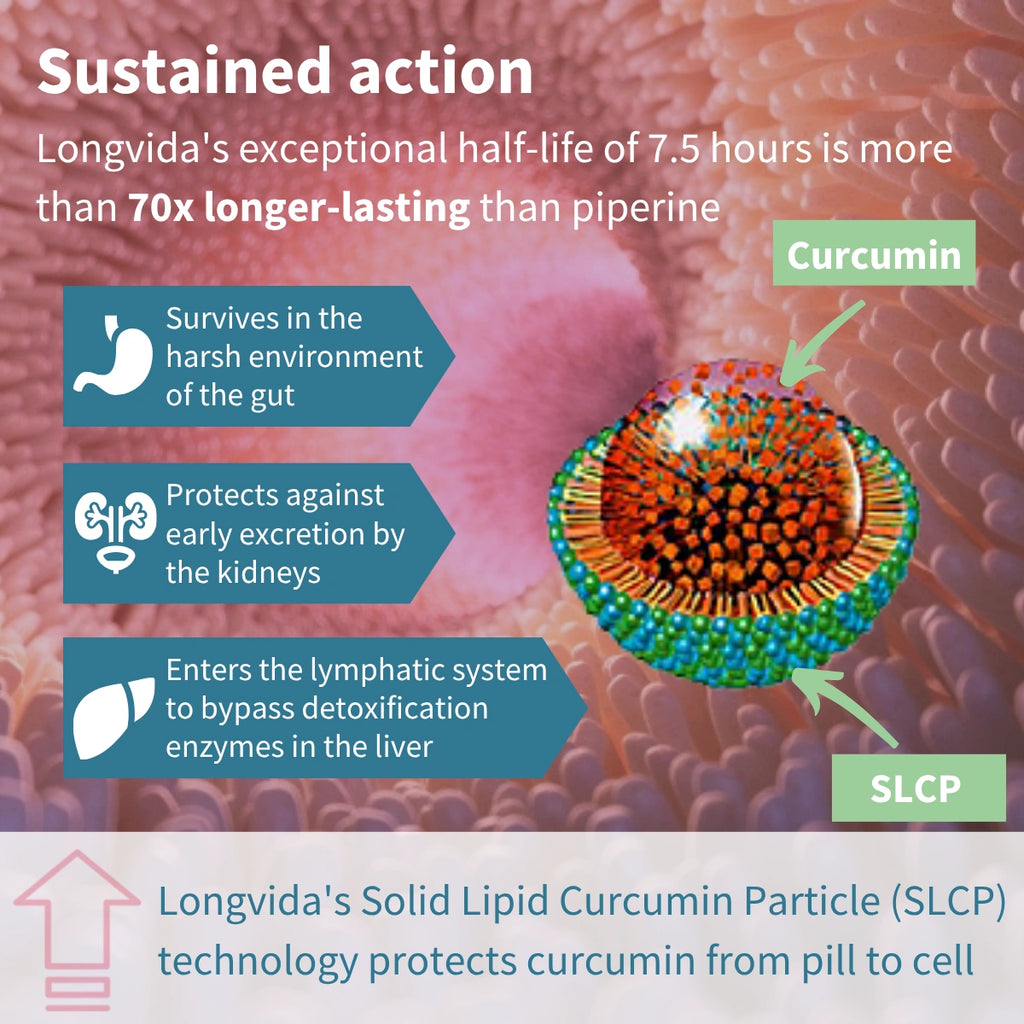 Diagram of Longvida's Solid Lipid Curcumin Particle (SLCP) technology with text on sustained action and curcumin properties.