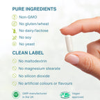 Hand holding a white pill with purity and approval information on a white background