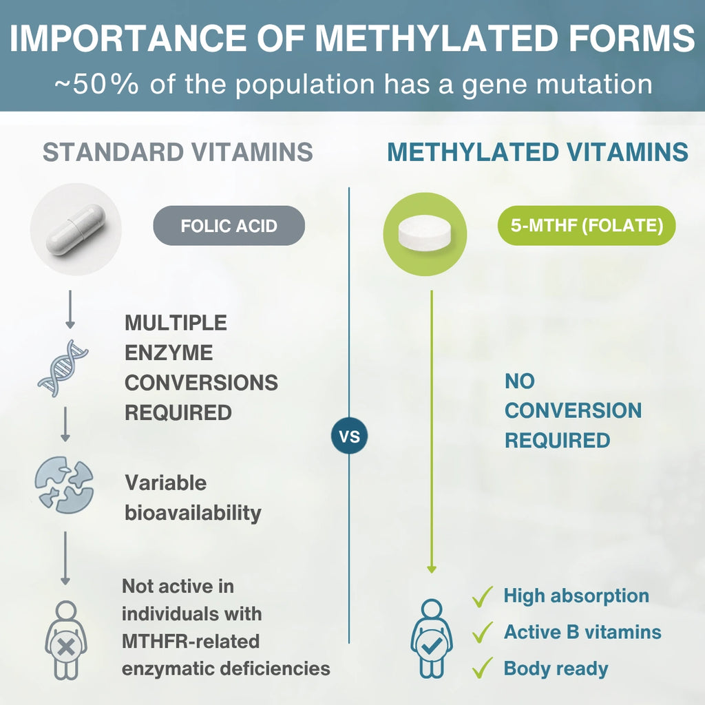 Comparison chart between standard vitamins and methylated vitamins, focusing on folic acid and 5-MTHF.