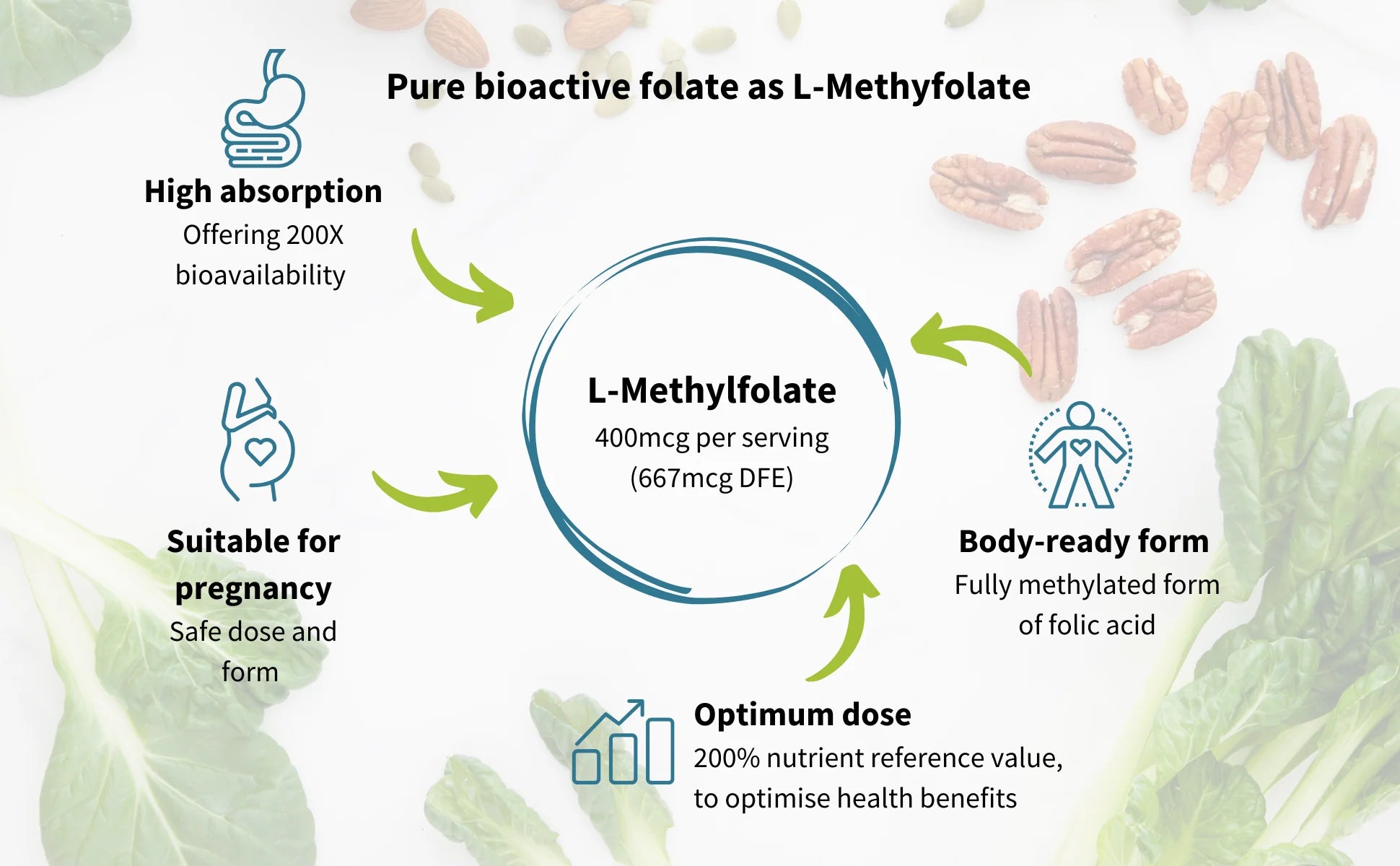 Infographic about L-Methylfolate with text and icons on a green background