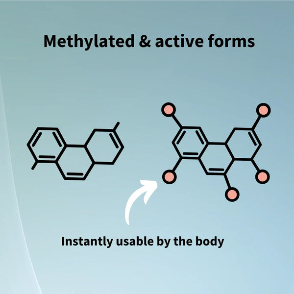 Diagram of methylated and active forms of a molecule on a light blue background