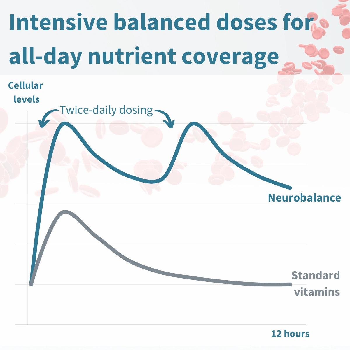 Neurobalance - Zinc, Magnesium & Vitamin B6 for Adults & Children