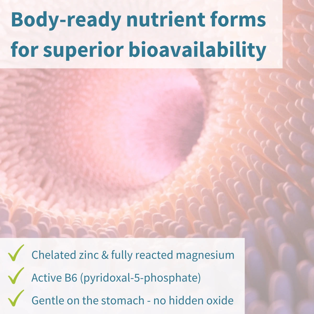 Neurobalance - Zinc, Magnesium & Vitamin B6 for Adults & Children