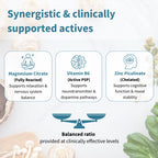 Neurobalance - High-Absorption Zinc, Magnesium & Vitamin B6 for Adults & Children, 120-360 Tablets