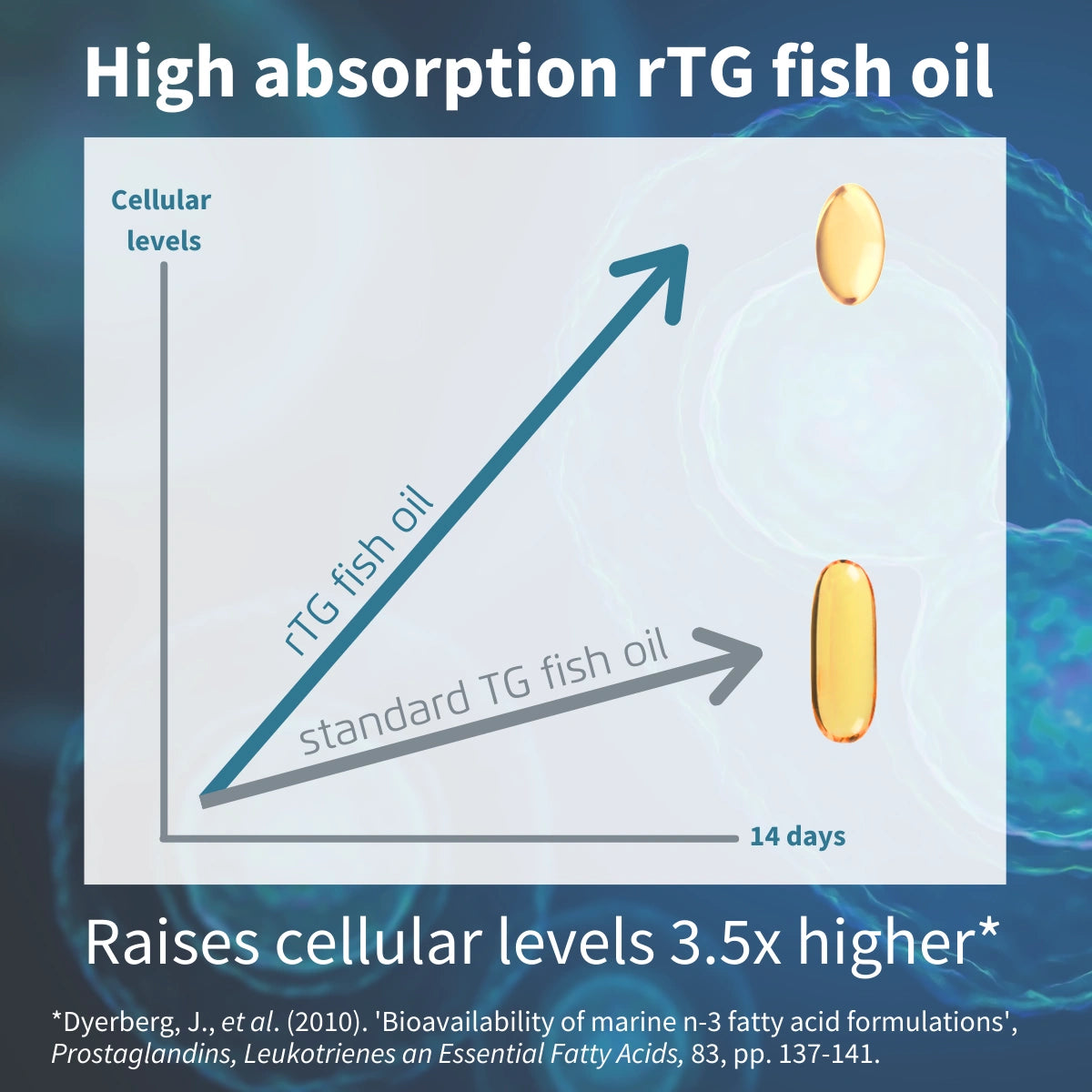Super Concentrated Omega-3 Wild Fish Oil & Vitamin D, 660mg rTG Triglyceride EPA & DHA & 1000iu D3, 1-a-day, 60-180 Softgels