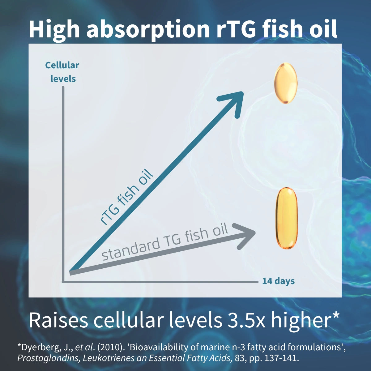 Super Concentrated Omega-3 Wild Fish Oil & Vitamin D, 660mg rTG Triglyceride EPA & DHA & 1000iu D3, 1-a-day, 60-180 Softgels