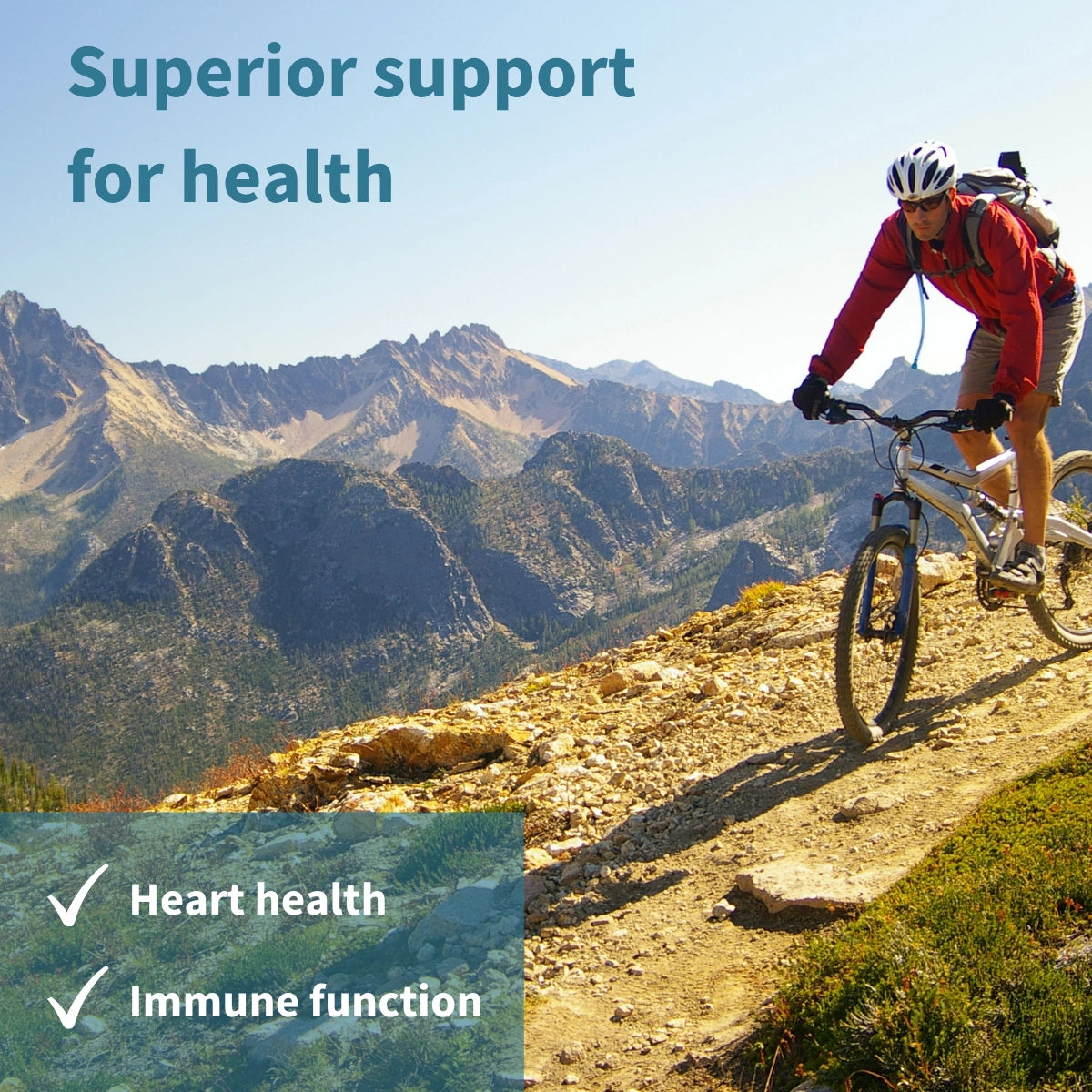 Super Concentrated Omega-3 Wild Fish Oil & Vitamin D, 660mg rTG Triglyceride EPA & DHA & 1000iu D3, 1-a-day, 60-180 Softgels