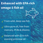 Fish oil product description with EPA and GLA content on a blue background with fish illustration
