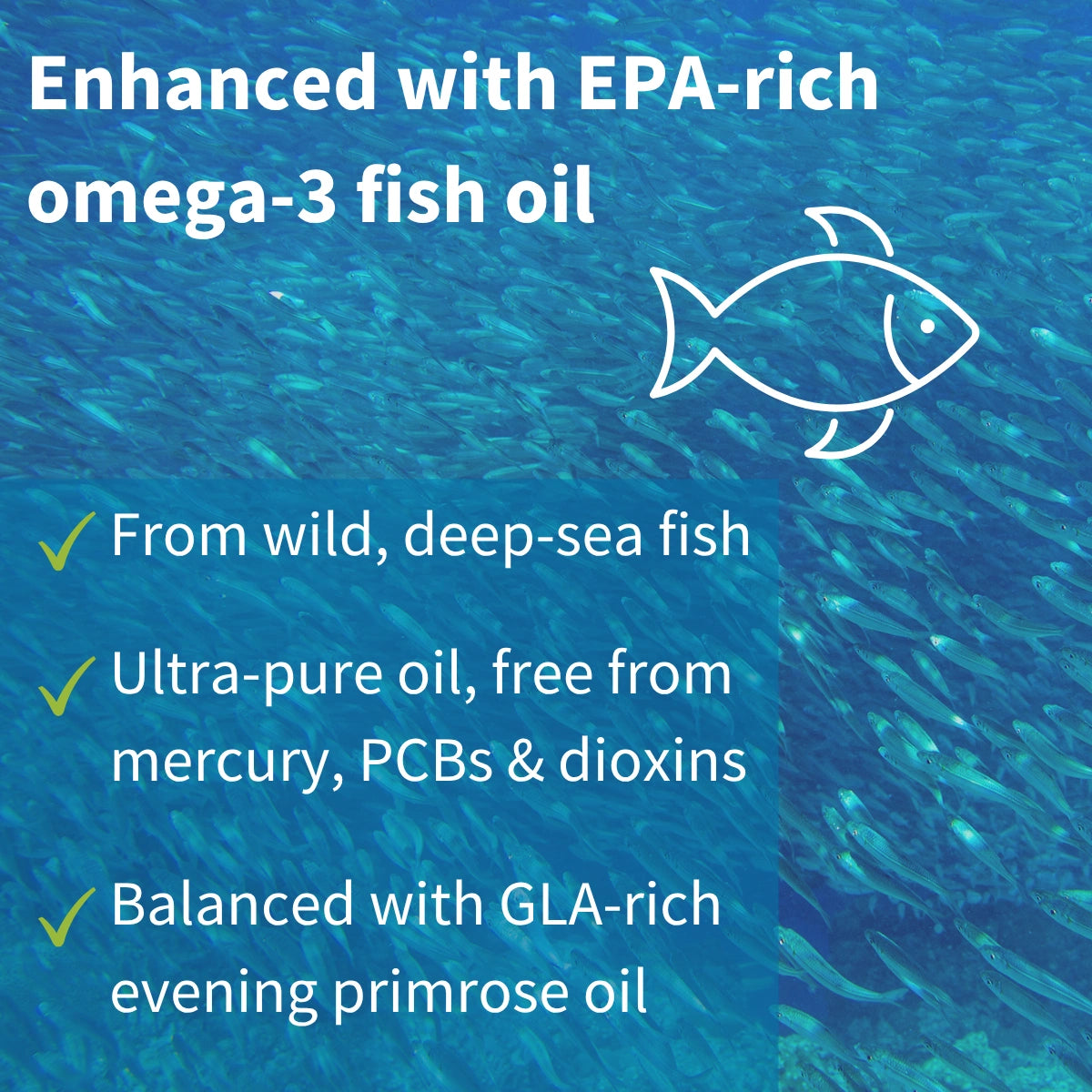 Fish oil product description with EPA and GLA content on a blue background with fish illustration