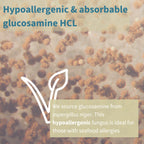 Text about hypoallergenic and absorbable glucosamine HCL with a fungal background and a leaf symbol.