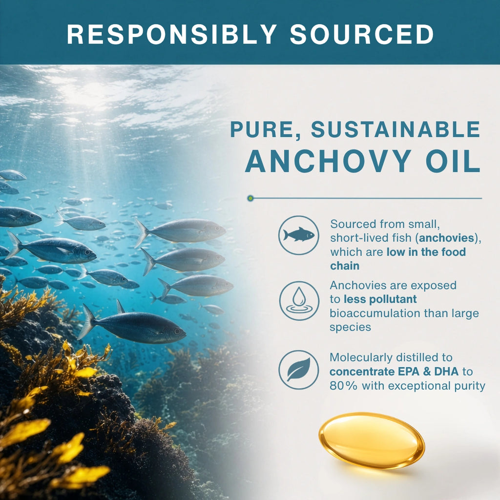 Advertisement for responsibly sourced anchovy oil with underwater scene and oil droplet graphic.