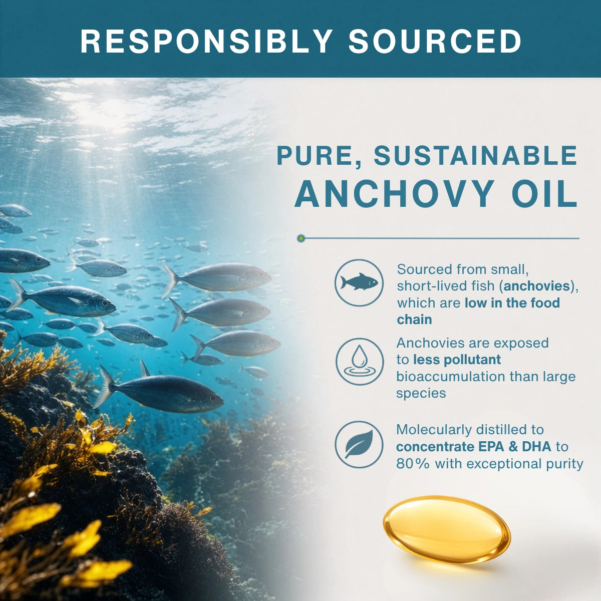 Advertisement for responsibly sourced anchovy oil with underwater scene and oil droplet graphic.