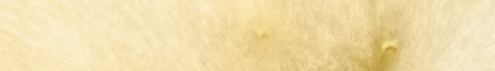 Close-up of beige fabric texture