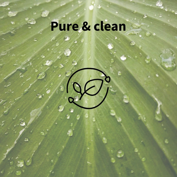 Green leaf with water droplets and 'Pure & clean' text on a green background