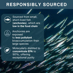 Text about responsibly sourced anchovies with a background of anchovies swimming.