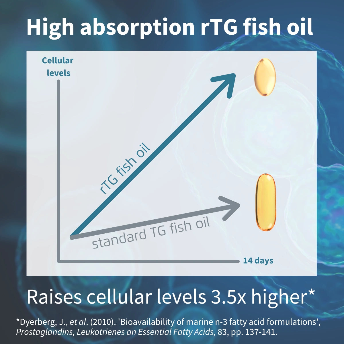 Diagram comparing high absorption rTG fish oil to standard TG fish oil with text about cellular levels and bioavailability.