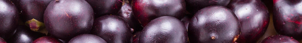 Antioxidants - Igennus Healthcare Nutrition