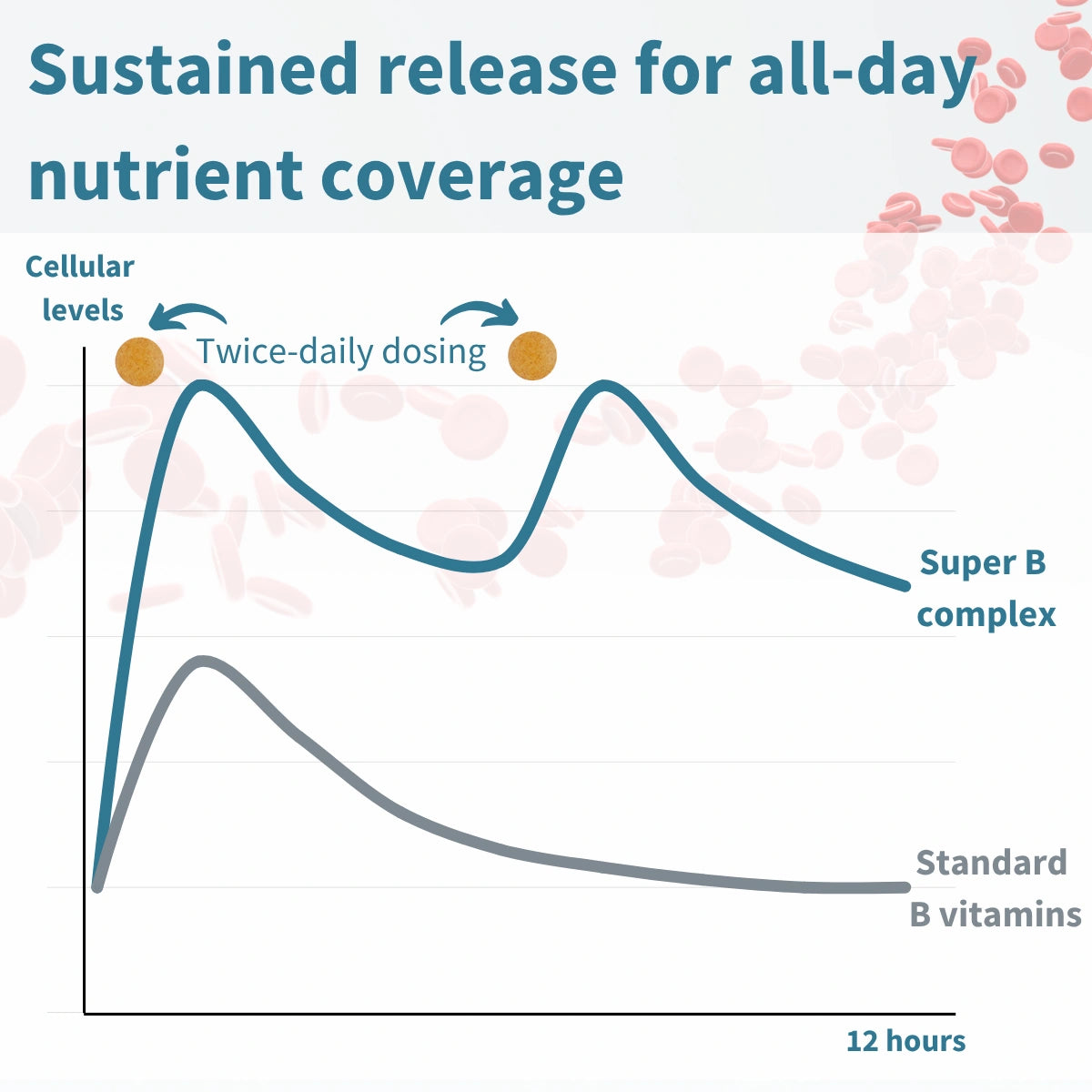 Graph comparing sustained release of Super B complex versus standard B vitamins for all-day nutrient coverage.
