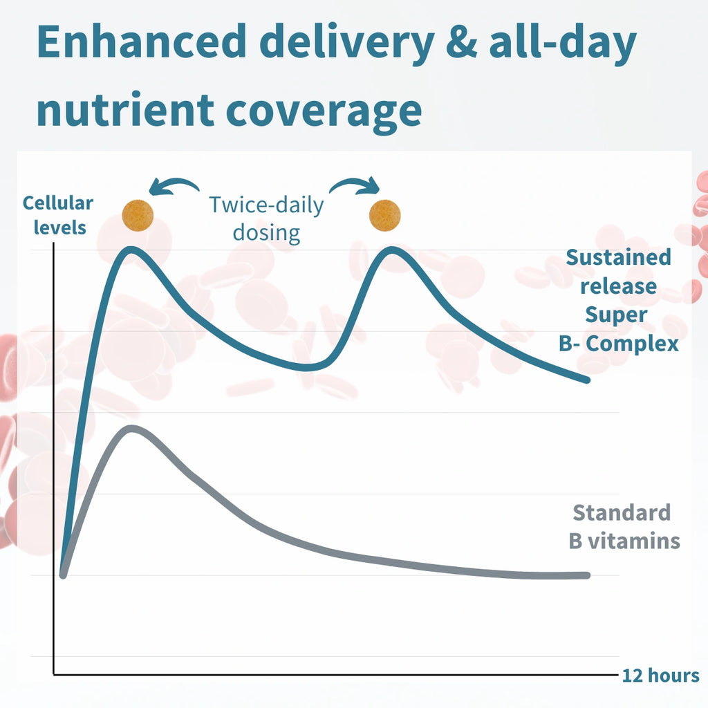 Graph comparing sustained release Super B-Complex and standard B vitamins with text 'Enhanced delivery & all-day nutrient coverage'.