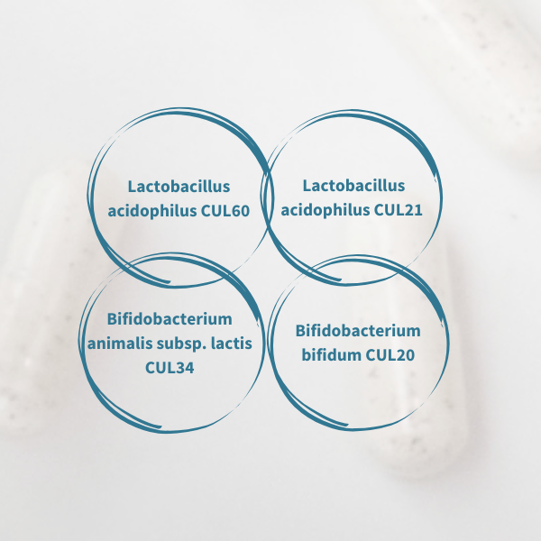 Diagram of four concentric circles with bacterial names inside on a white background