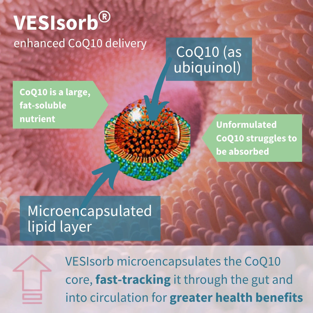 VESIsorb enhanced CoQ10 delivery system with CoQ10 and microencapsulated lipid layer on a pink textured background.