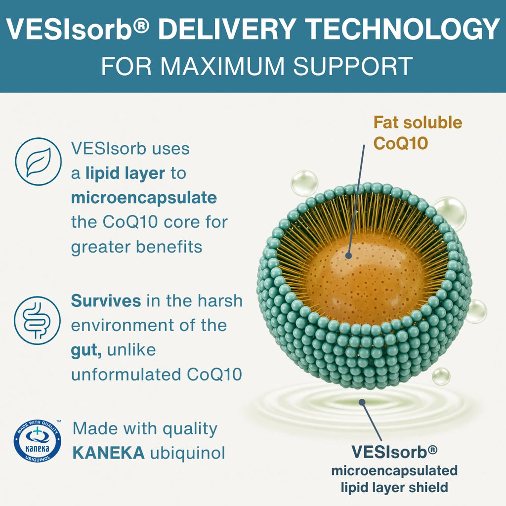 Vesisorb ubiquinol technology