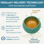 Vesisorb ubiquinol technology