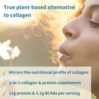 Woman holding a flower with text about a plant-based collagen and protein supplement.