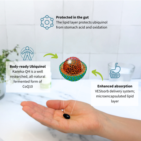 Hand holding a black pill with text explaining its benefits on a white background