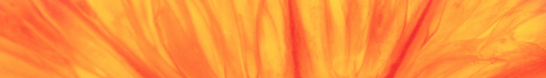 Swoosh of orange and yellow colors