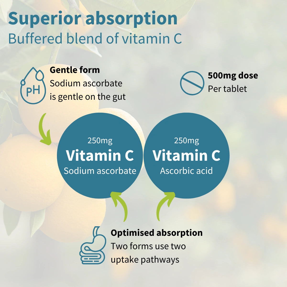 Vitamin C supplement information with text and graphics on a blurred background